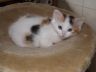 DSCF1279.jpg