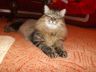 DSCF2492.jpg