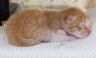 DSCF6719.jpg
